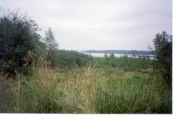 Stojc za domem widzimy Jezioro Paskie w caej okazaoci (ok. 67 kB)
