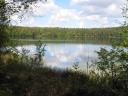 Rezerwat Jezioro Jasne