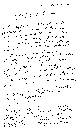 'Testament Nienackiego' 'Testament Nienackiego'