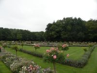 Zamek Chenonceau