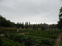 Farma
