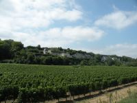 Po drodze do Angers spotykamy „cave”
