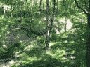 W Krainie Straszliwego Asa (ok. 130 kB)