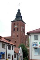 Susz - koci