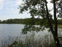 Brzeg Zelwy od strony Wikokuku