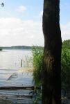 Jezioro Pomorze od strony jeziora Zelwa