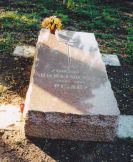 Grb Nienackiego, 1996 rok.
